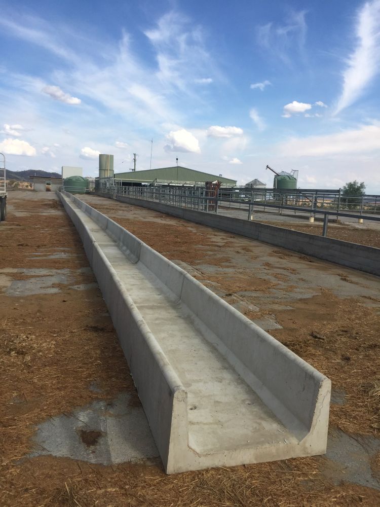 Small Concrete Feed Troughs