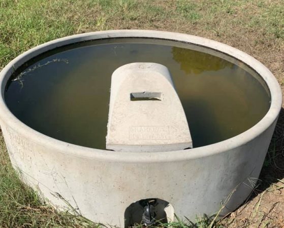 Concrete Feed Troughs
