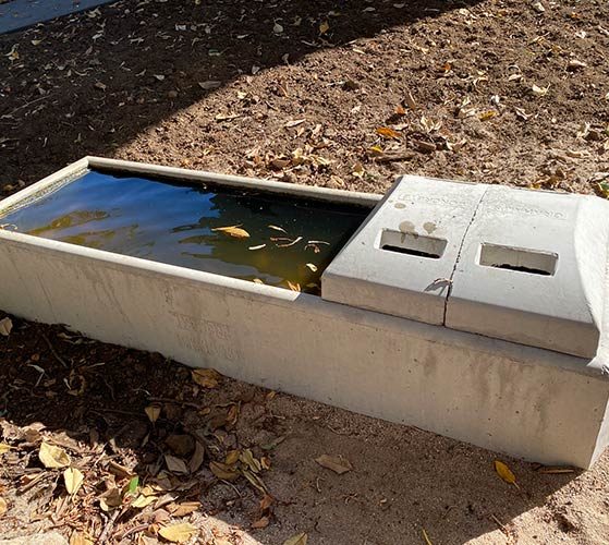 2.4mt Sheep trough — Water Troughs in Kyogle, NSW