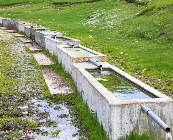 concrete water troughs